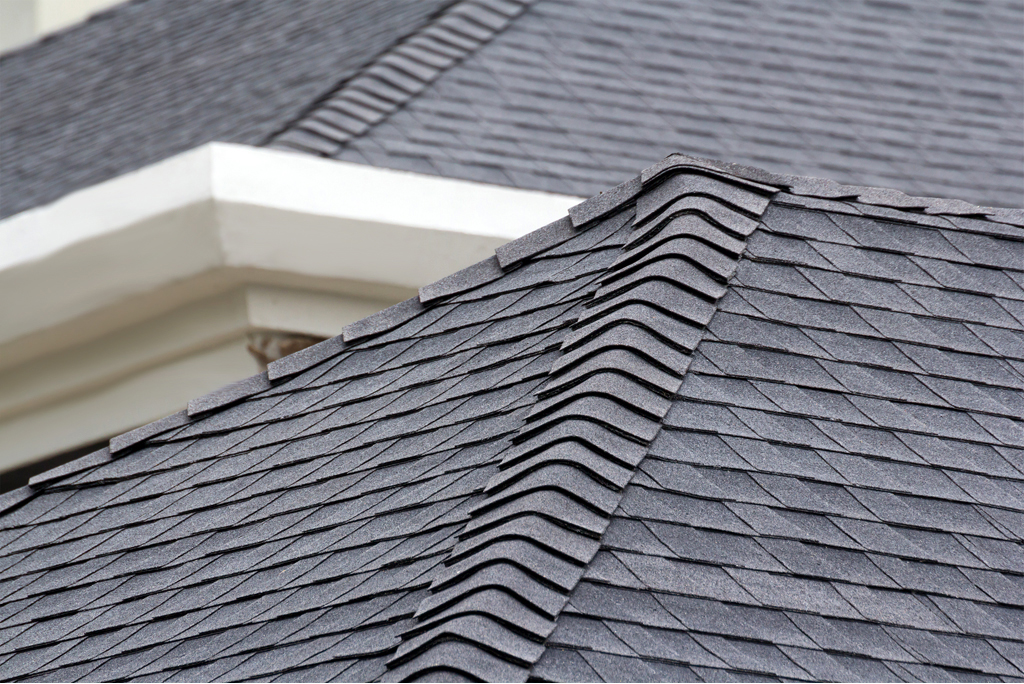 Metal Roof Services in Chicago Illinois